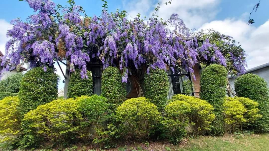 Casa Foresta نان المظهر الخارجي الصورة
